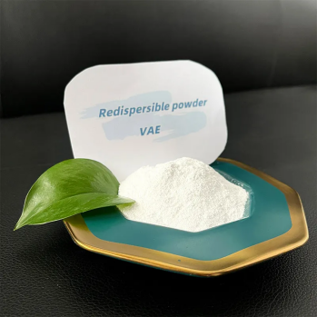 The Function of Polymer Powder in Thin-Bed Mortars The Function of Polymer Powder in Thin-Bed Mortars